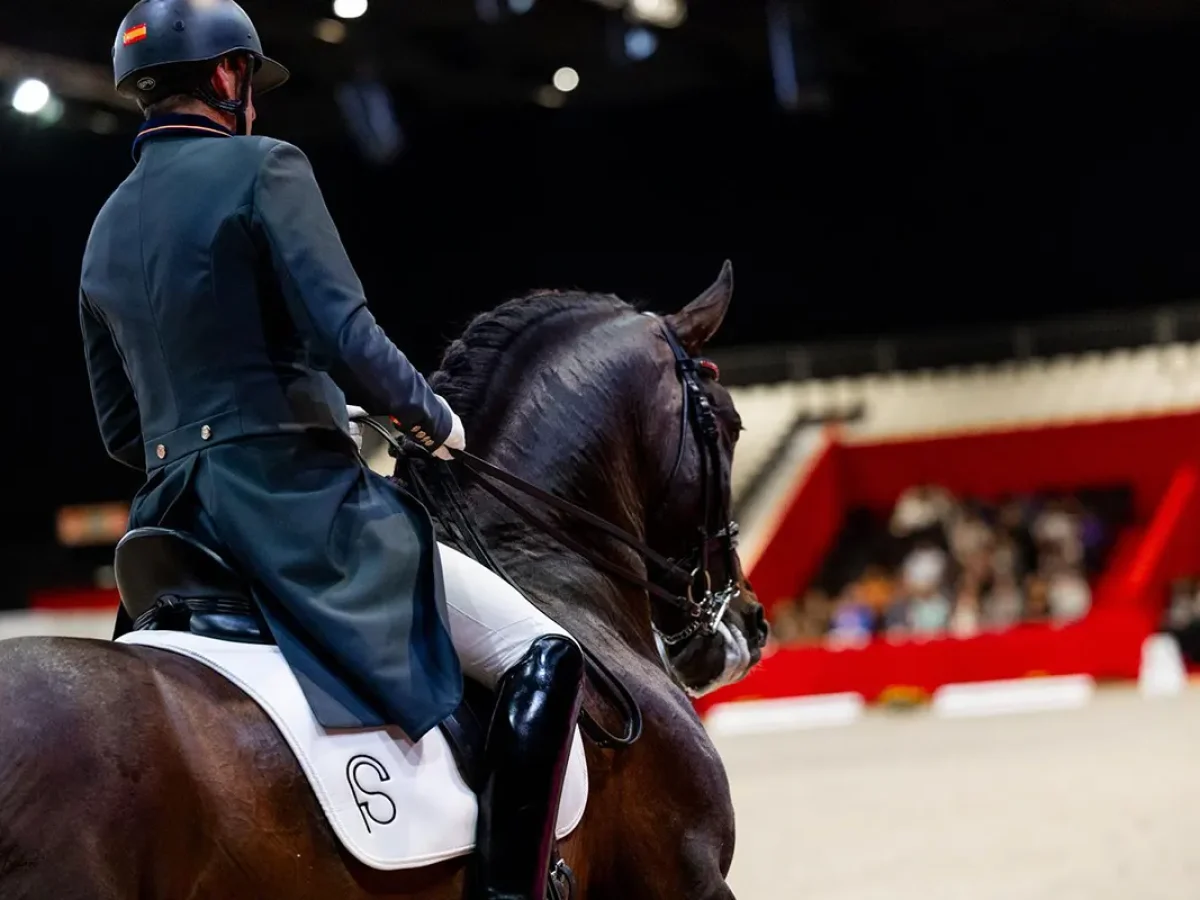 Ganadería Francisco Santiago Ruíz